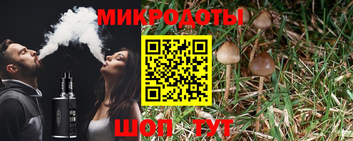 Кореновск  где найти   Вход с VPN  Галлюциногенные грибы мухоморы 